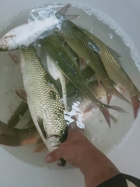 有口打不到鱼怎么回事