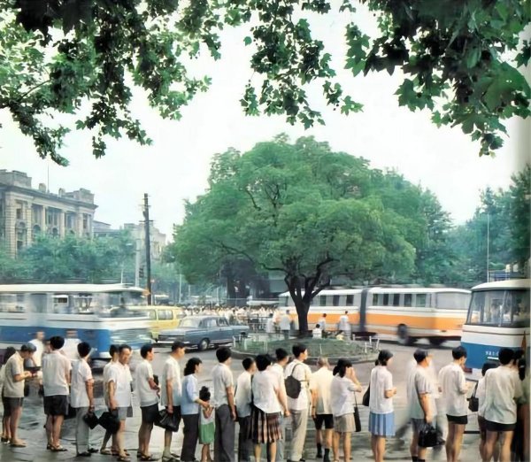 沪c为什么不能进市区