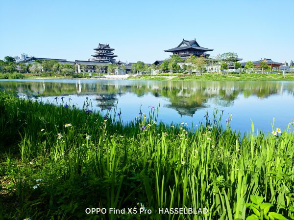 目前最强拍照手机是哪一款