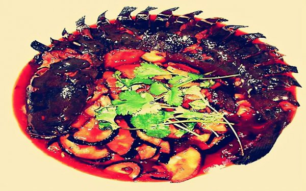 二须鲶鱼为什么不能吃