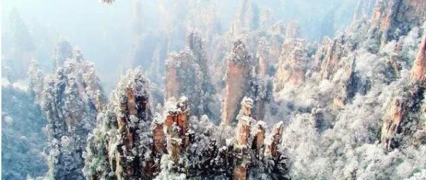 自然遗产张家界在哪里