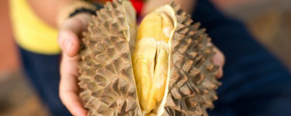 榴莲死包是什么意思