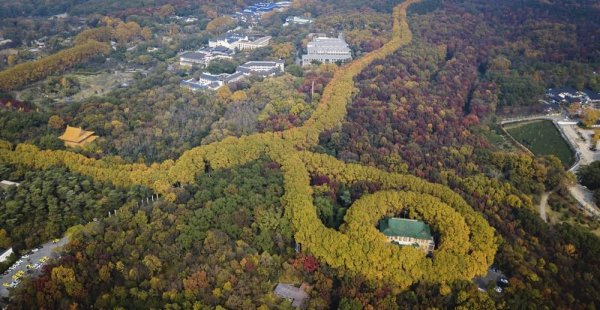 全国一生带孩子去的5个地方