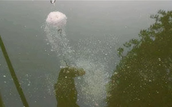 夜钓鲢鳙水深多少是合适