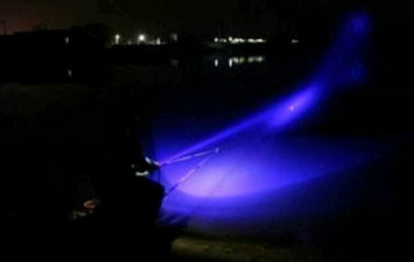 夜钓鲢鳙水深多少是合适