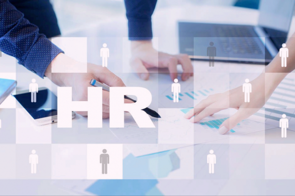 人力资源管理的内容是什么意思