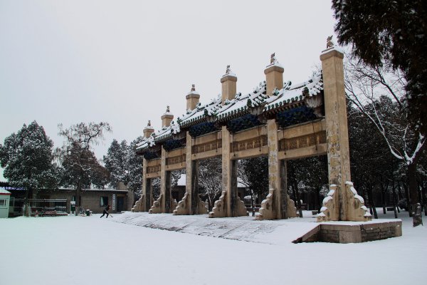 袁世凯墓在哪里