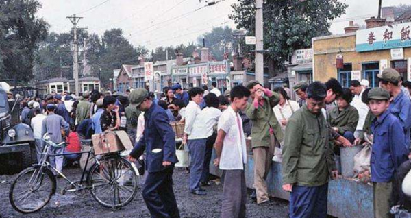 长春市几个区分别是什么