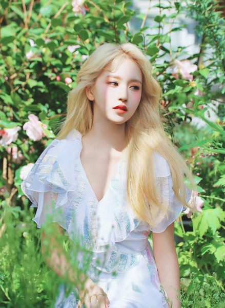 名井南是日本人吗