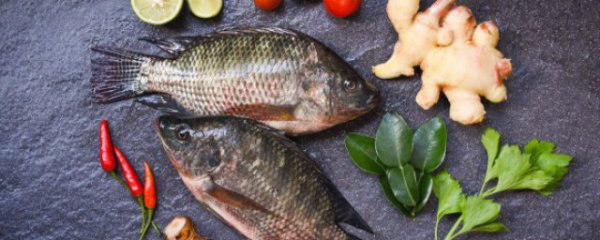 有什么办法保鲜鱼