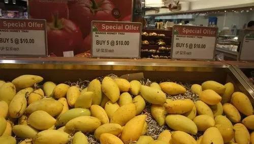 新加坡的首都是哪座城市