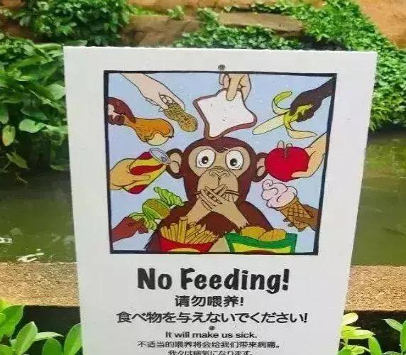 新加坡的首都是哪座城市