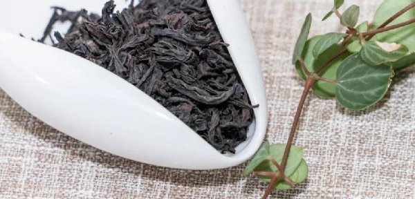 马头岩肉桂属于什么茶