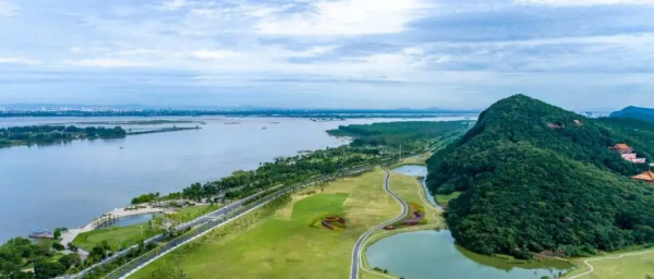 猴面包树为什么叫猴面包树