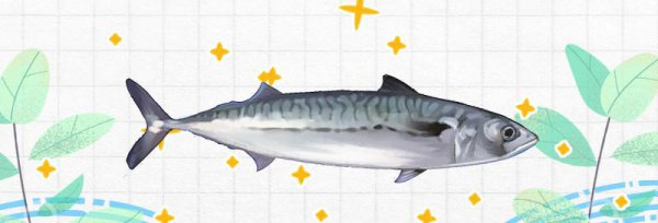 鲅鱼是深海鱼还是浅海鱼