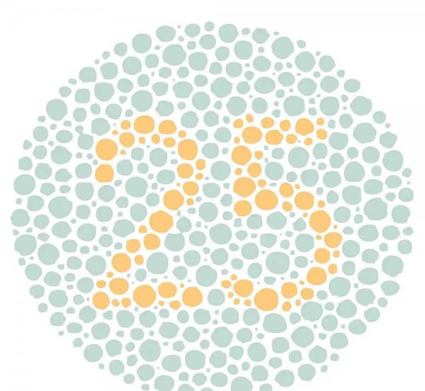 换驾驶证需要什么材料