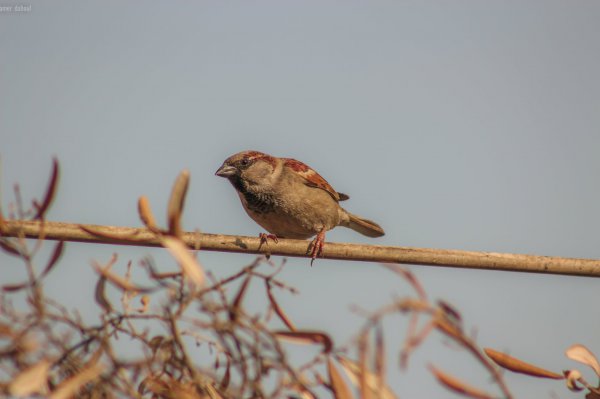 怎样安慰一个心情不好的女人