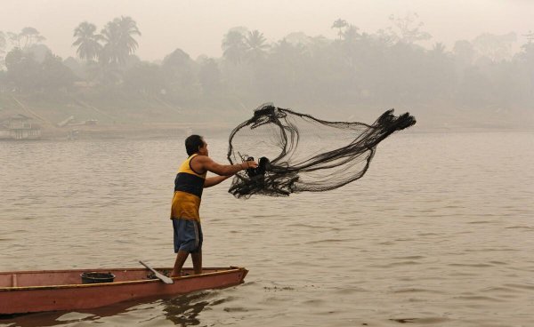打龟是什么意思理解