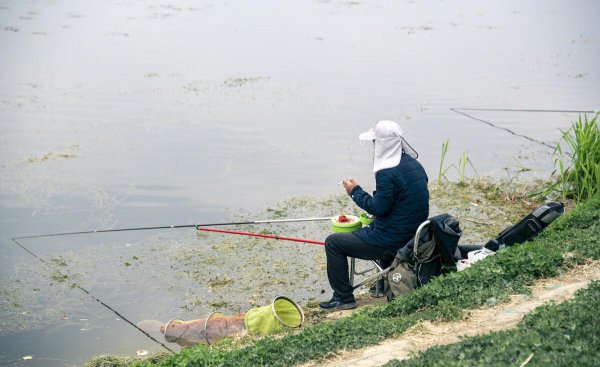 打龟是什么意思理解