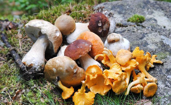 上课想睡觉怎样提神