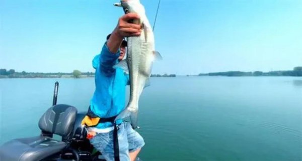 新手野钓入门十大基础技巧