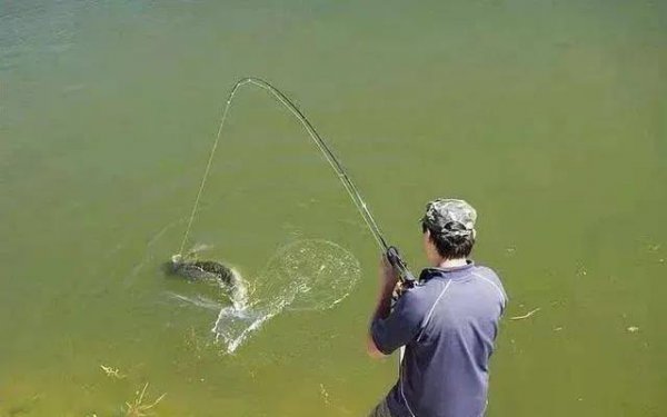 新手野钓入门十大基础技巧