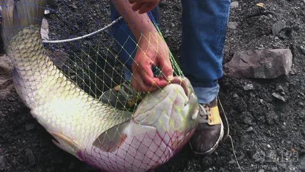 新手野钓入门十大基础技巧