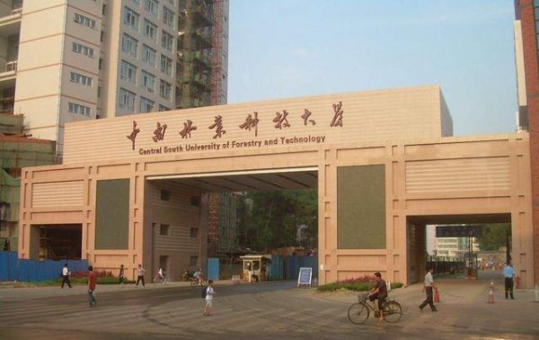 湖南大学前十名排名推荐