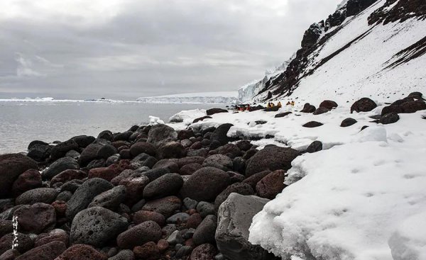 挪威有多少人口面积多大