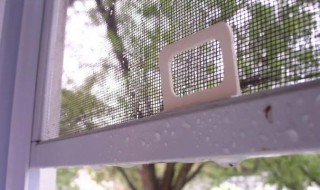 纱窗油渍怎么清洗 纱窗上的油污如何清洗