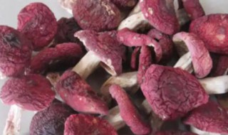 德化特产有哪些食物 德化特产有什么食物