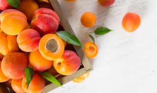 新鲜杏晒干保存的方法 如何保存新鲜晒干的杏