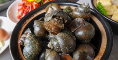 福寿螺跟田螺的区别图解 福寿螺是什么样子的图片