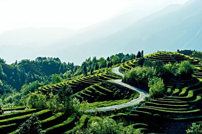 江西庐山名茶叫什么名字 庐山盛产的3款必喝茶叶