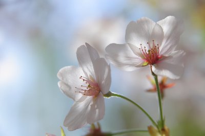 男生都喜欢盯着爱笑的女生吗 男人为何痴迷于爱笑的女人