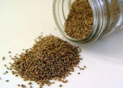 芹菜种子播种时间 芹菜种子什么时候播种最好