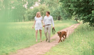 杜高犬开口和不开口的区别 杜高犬开口和不开口有什么区别