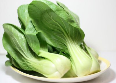 小白菜简介 小白菜和大白菜的区别