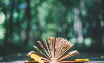 专科升本科要读几年 哪种专升本方式能早日拿到证