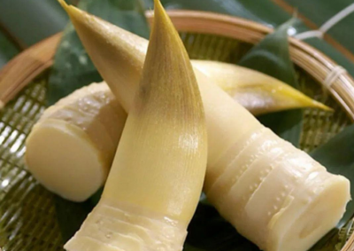 笋怎么保存时间最长 新鲜春笋久放也鲜嫩的储存技巧