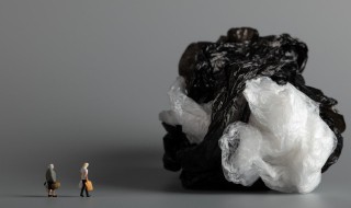 塑料袋可以放冰箱吗 塑料袋能不能放冰箱里