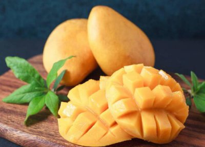 芒果催芽方法 芒果种子催芽方法