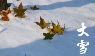 冬天怎么样开窗户 冬天开窗户的方法