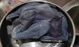 新鲜乌鸡常温保存方法 乌鸡常温可以存放多久