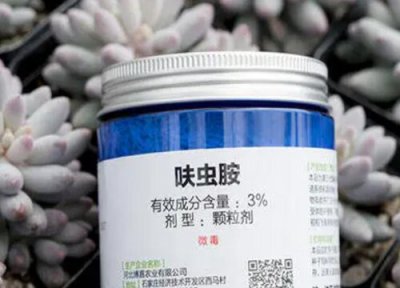 多肉杀虫剂是喷还是浇 三伏天养护多肉使用呋虫胺什么虫害也不怕