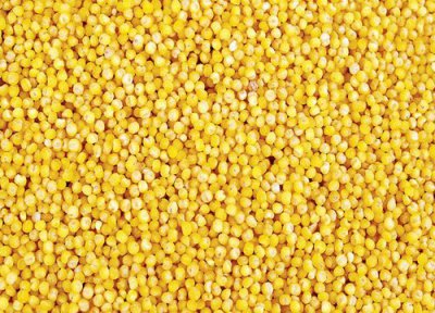 粟米的功效与作用 粟米的功效与作用及食用方法