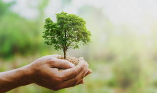 全球气候变暖有什么危害 全球变暖导致的后果