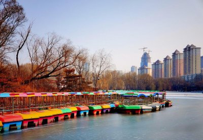 青海有哪些大学院校 青海省实力强的4所大学排名一览