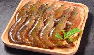 醉虾用什么虾做最好 醉虾用哪种虾做最好