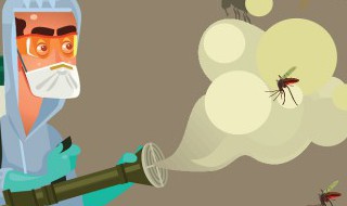 房间苍蝇好多怎么去除 房间苍蝇好多如何去除